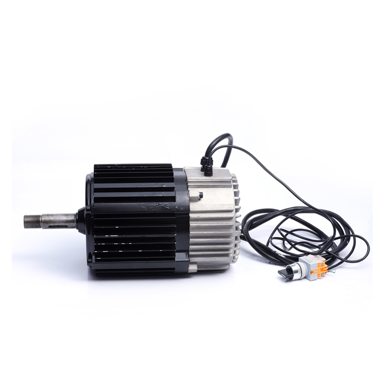 220V 3000 об/мин 1200 Вт бесщеточным двигателем постоянного тока