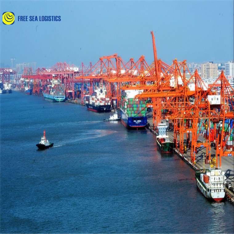 Flexible dhl freight schedule forwarder from China to Peru Brazil fast delivery logistics sea/air shipping