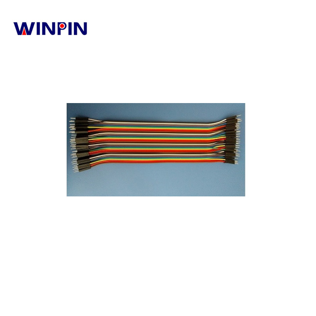 WINPIN 2,54 мм Шаг 40pin 20 см между мужчинами Джемпер провода Dupont кабель для макет