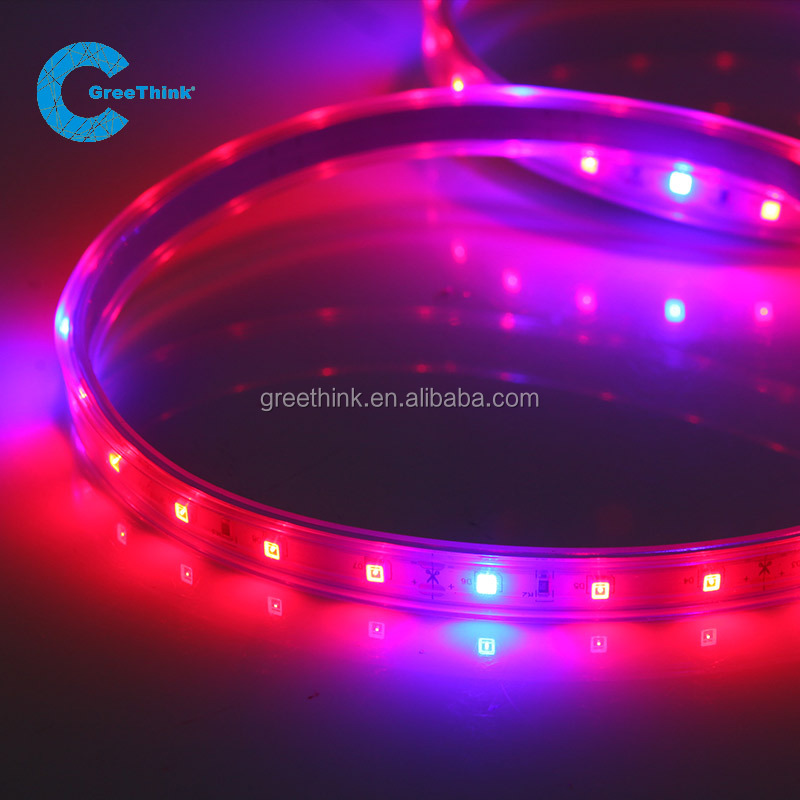 Wide varieties 12V 2835 plant light Full Spectrum Vegetable And Crops grow led light