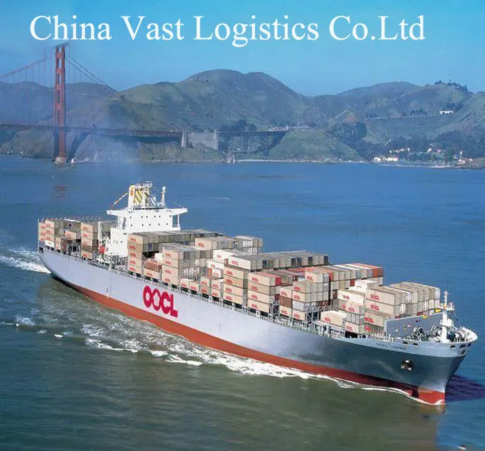 FCL LCL from qingdao ningbo shanghai China to Hamburg Germany railway freight forwarder
