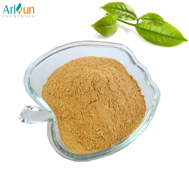 Pure Natural Green Tea Catechin Powder/Catechin Extract/Catechin