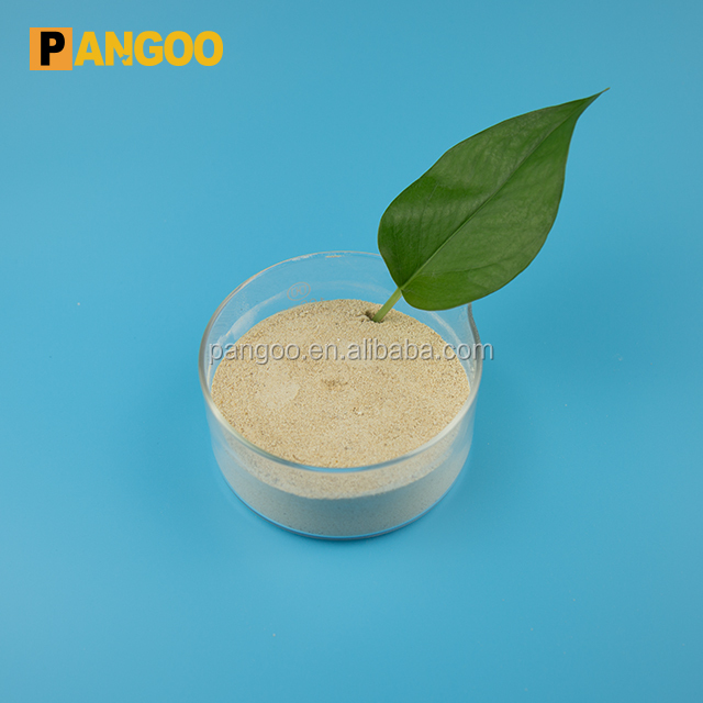 Aquaculture probiotics bacteria Sea Cucumber Booster