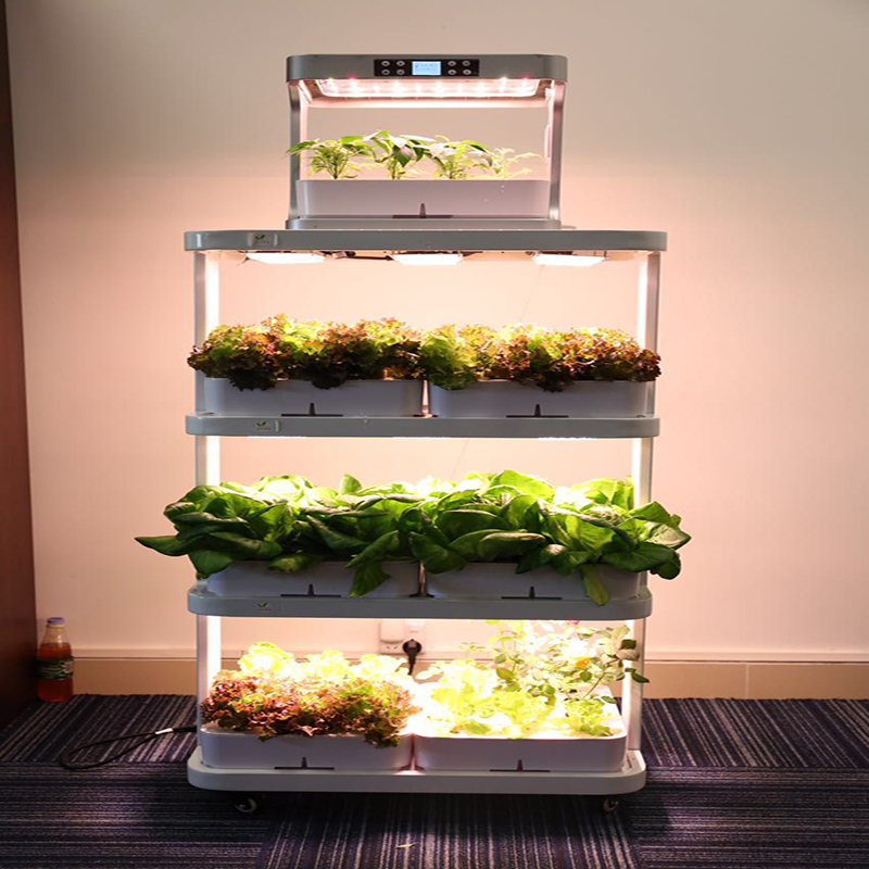 Shenzhen Supplier 120W 3 layers full spectrum indoor hydroponic greenhouse led light cabinet for vegetables farming products