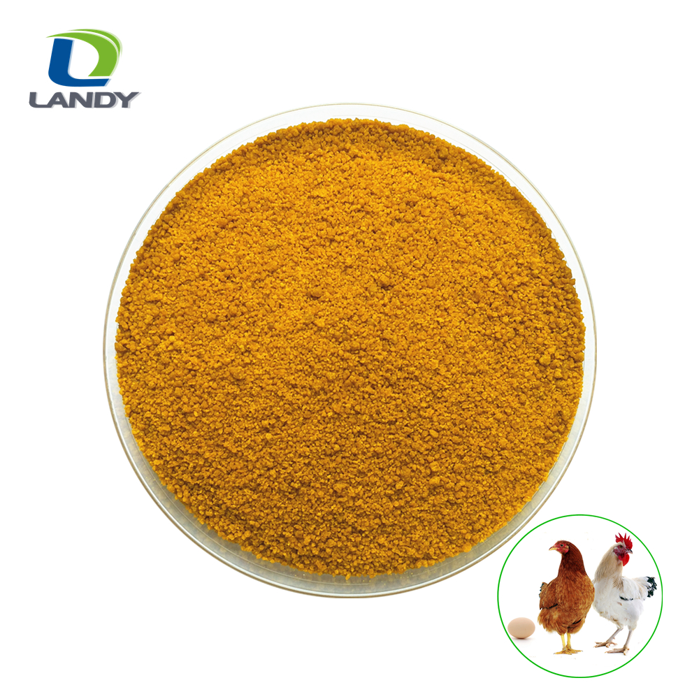 MANUFACTURER CGM 60% CORN GLUTEN FEED PRICE FOR POULTRY FEED