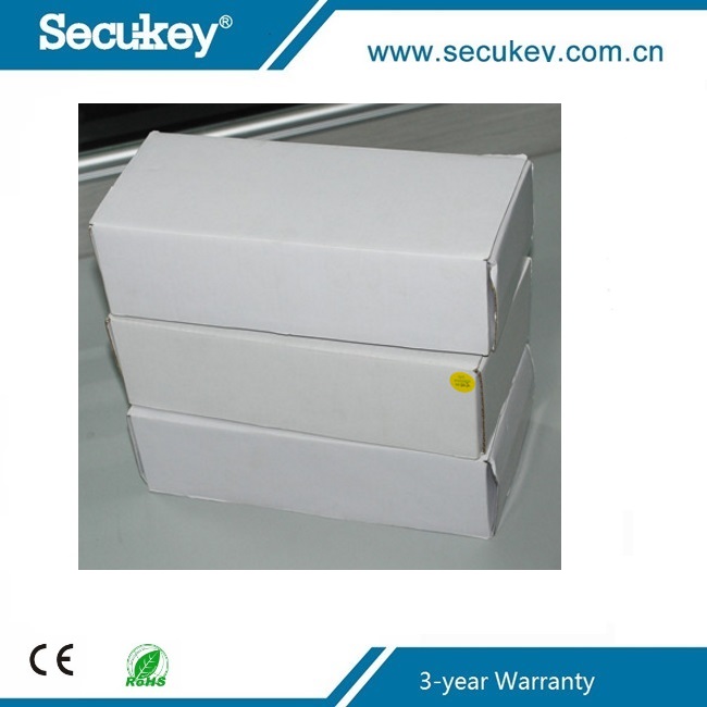 EM Card Passive 125khz RFID Key Tag