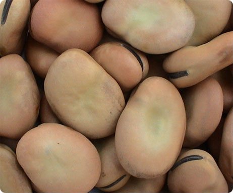 yummy dried broad bean