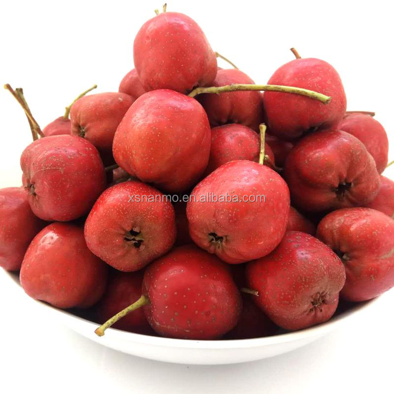 Свежий фрукт Haw Maybush
