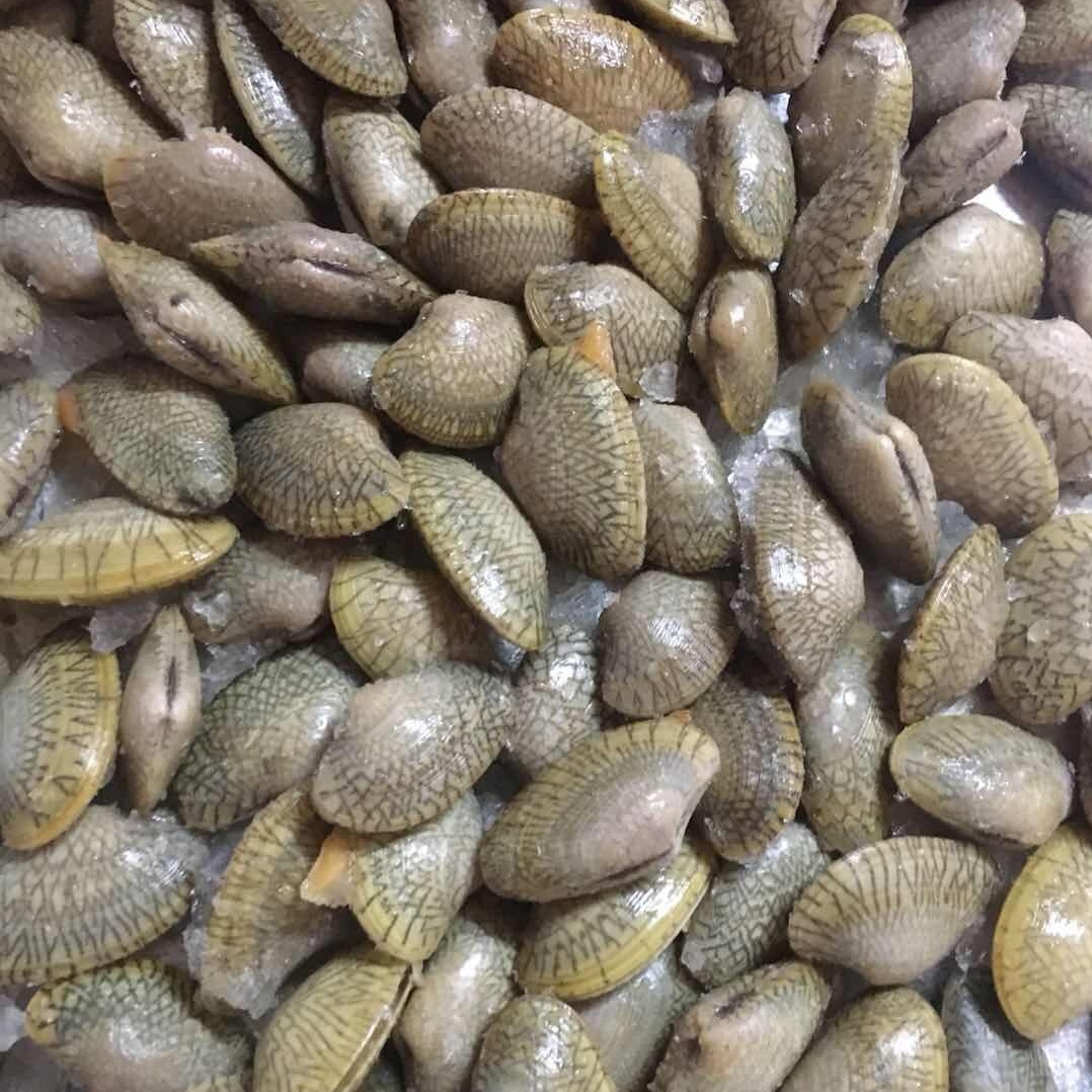 Распродажа замороженных маслом моллюсков/приготовленное моллюсковое мясо, индонезийские морепродукты