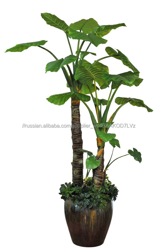2016 Китай оптовая искусственный бонсай дерево. Искусственный alocasia macrorrhiza дерево бонсай