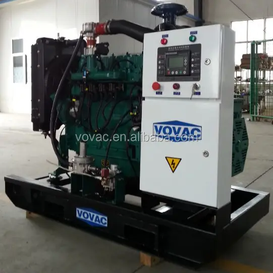 Hot Sale 100kw Gas Generator wIth Lowest Price