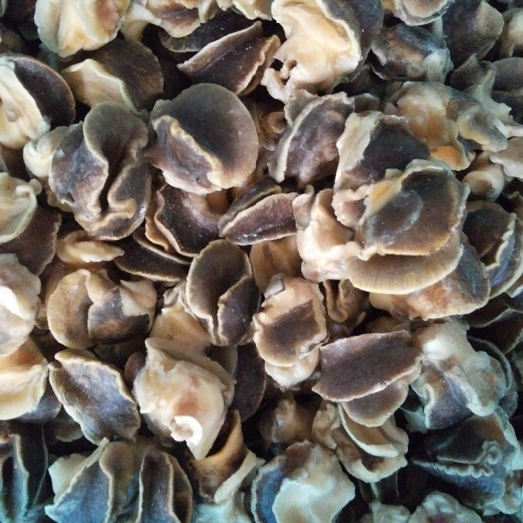 Морепродуктов по доступной цене раковины Whelk замороженные морепродукты цена