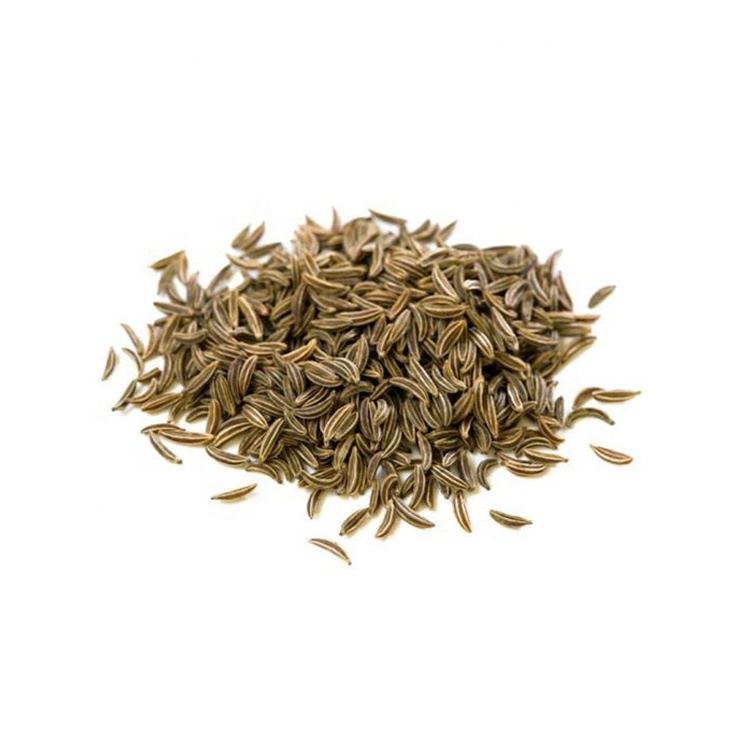 Egypt Spice органические сухие семена вывоза оптом
