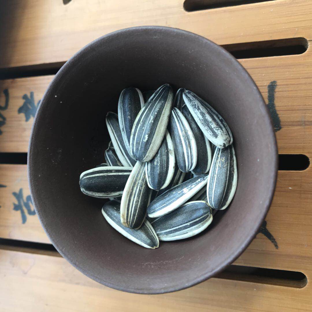 hot sale sunflower seed 363 with high quality