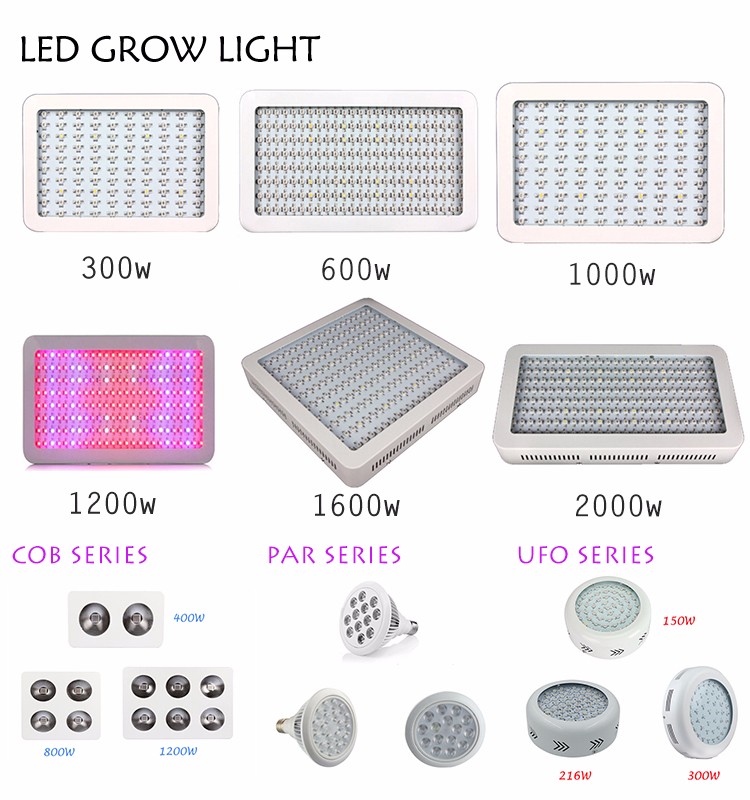 Топ-Стандарт Качества завода растут led