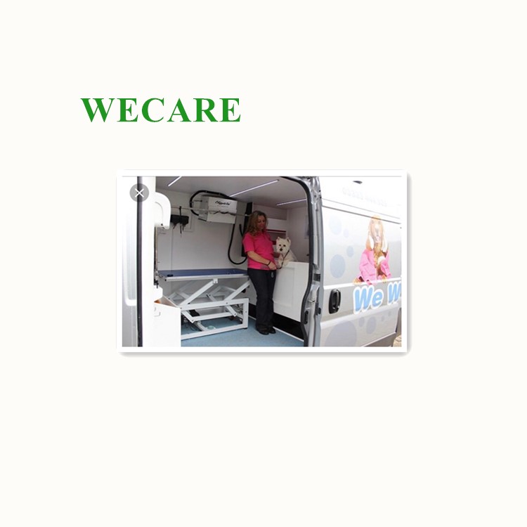 В WECARE новый дизайн корпус для мобильного-фурминатор для домашних животных для микроавтобуса
