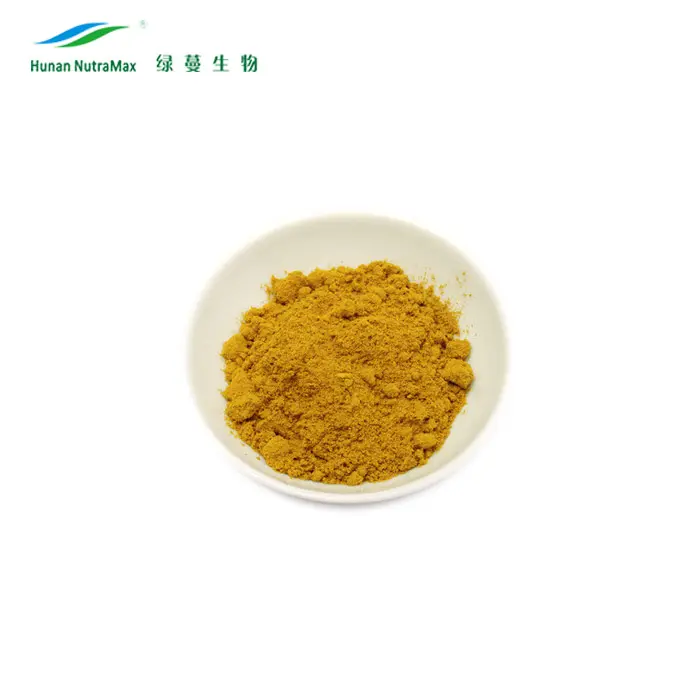 Best Price Black Ginger Root Extract Powder 20:1