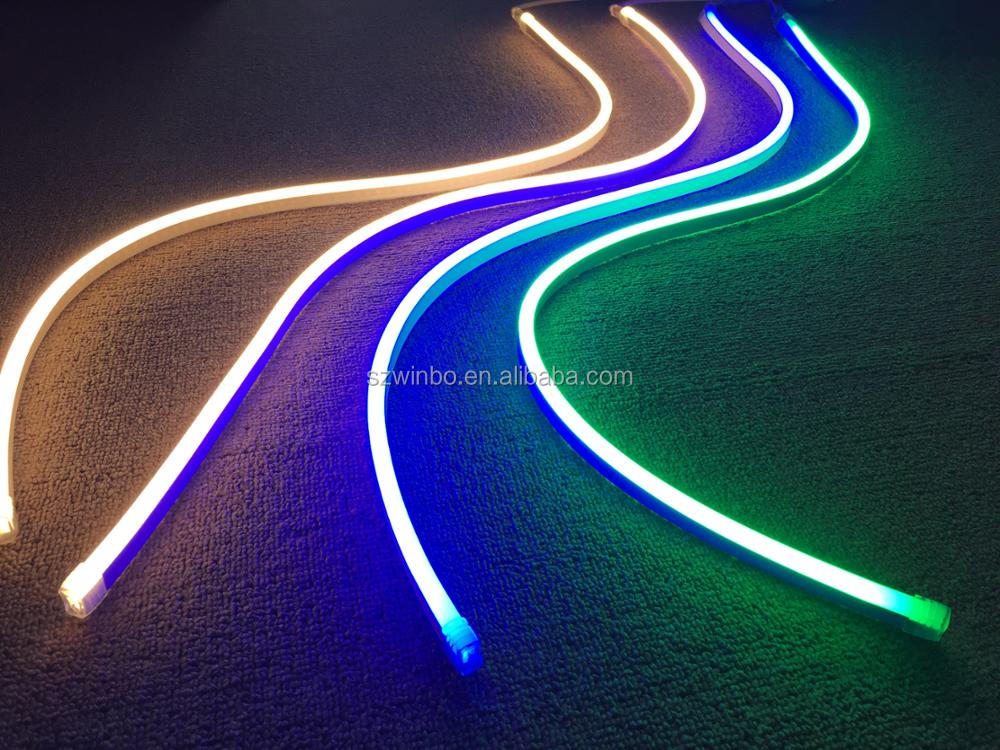 110 В 220 в 12 В 24 в RGB Волшебная цифровая мечта многоцветная Гибкая неоновая 3 м Светодиодная лента