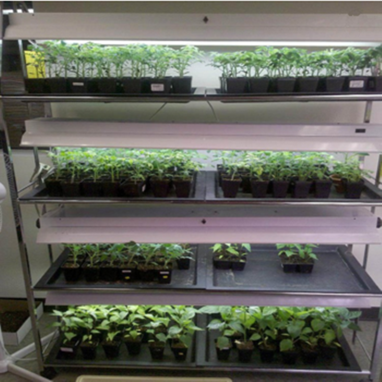 SKyplant Led Grow Light Tube растущей системы светать
