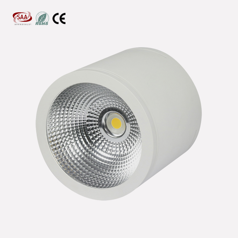 25 Вт COB светодиодные светильники для поверхностного монтажа IP44 CTM0101-60A