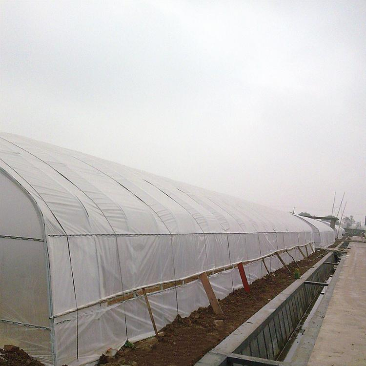 Strong and Smart Cast Plastic commercial Single-span Greenhouse