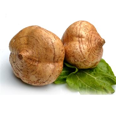 Kingшир, семена Jicama, семена yam bean sa got
