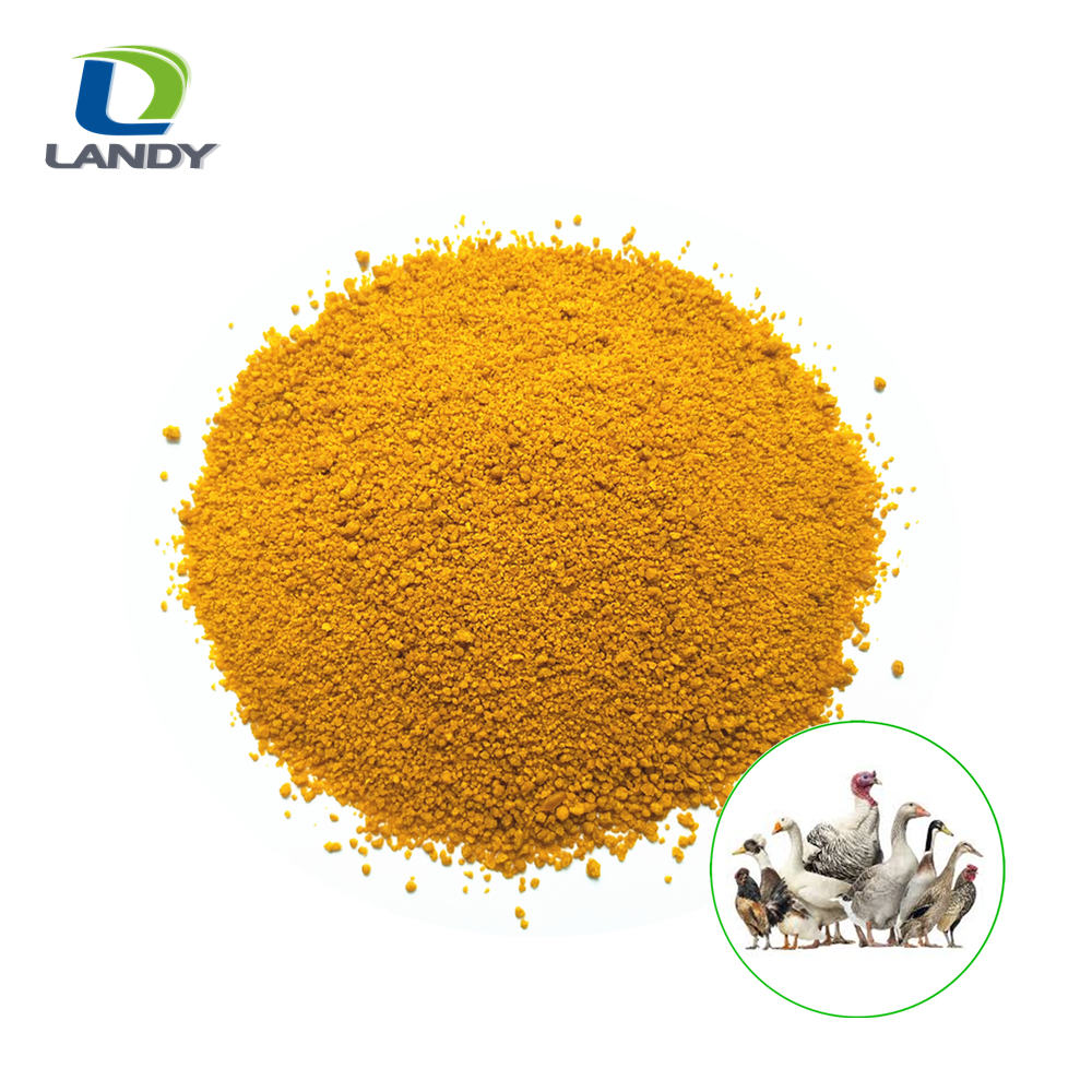 Кормовая добавка, сертифицированная ISO, 62% протеин, кукуруза, CGM, кукурузная глютенная мука для птицы