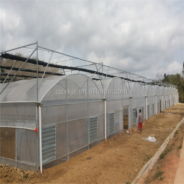 Cheapest agriculture tunnel plastic film greenhouse for vegetable / flower