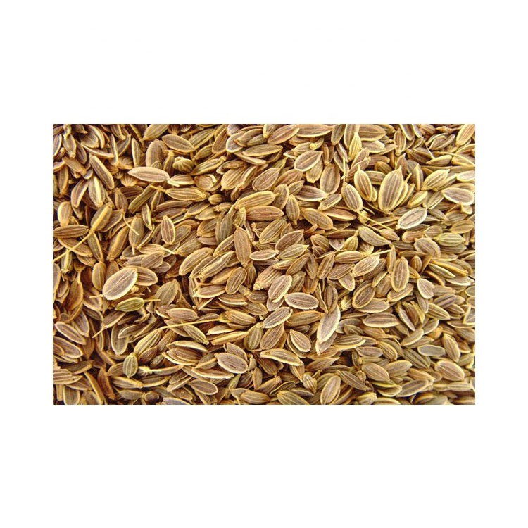Egypt Spice Yellow Organic Dill Seed