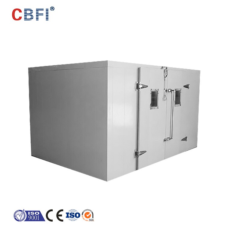 Fruit Vegetable Meet Fish food freezing Cold Room