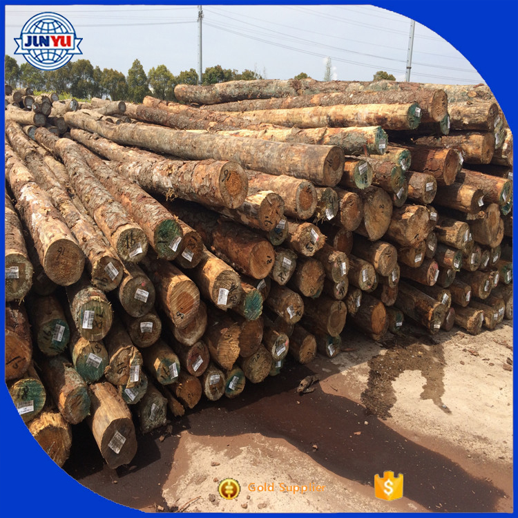 Сосна radiata/сосна radiata pinus radiata сосновые бревна
