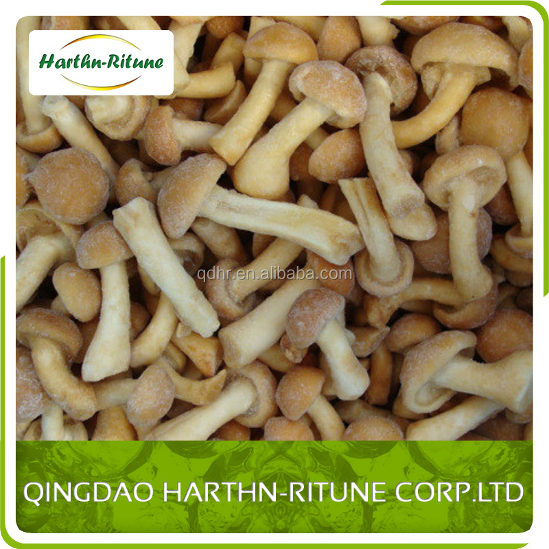 Свежие грибы свежие замороженные грибы замороженные nameko