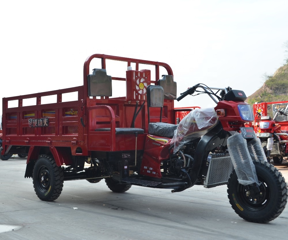 Three Wheel Motorcycle 200cc 250cc 300cc engine cargo tricycle oem from Chongqing