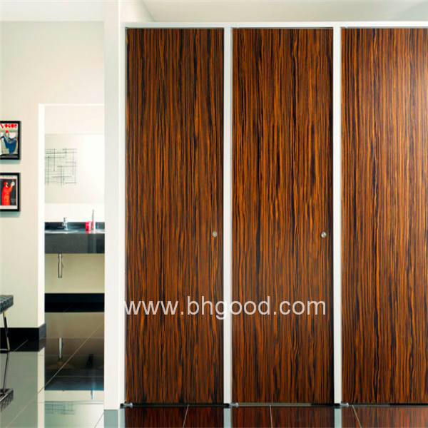 Компактная ЛАМИНИРОВАННАЯ ДВЕРЬ для туалета Formica