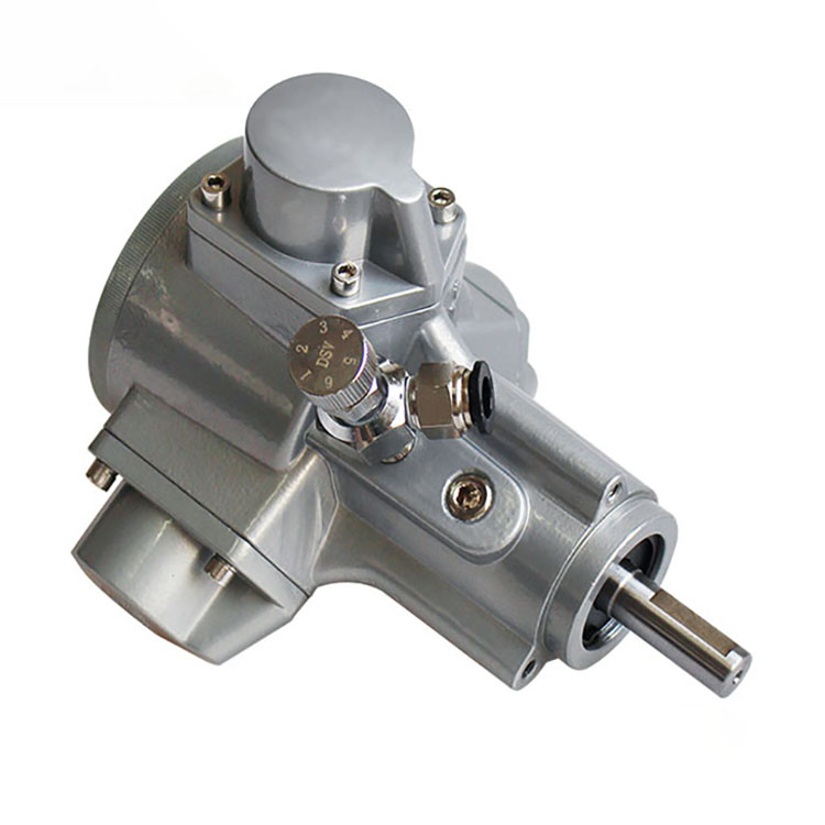 AM2 BASIC TYPE Radial Piston Air Motor,Piston Air Motor For Piston Motor Air mixer