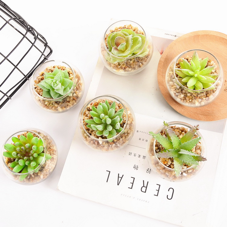 Factory mini succulent arrangements modern artificial plant with glass pot for decor