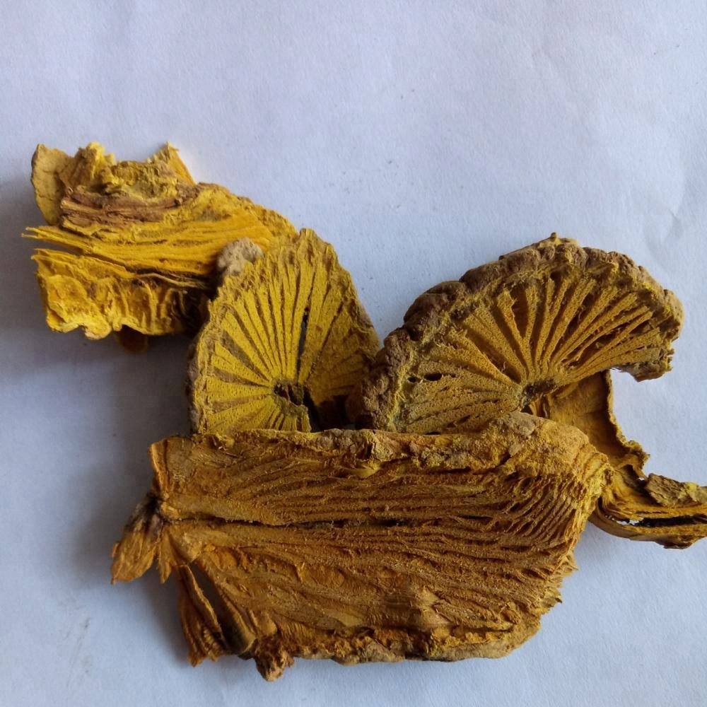Китай травы Fibraurea tinctoria хмуриться сушеные 1 кг для продажи