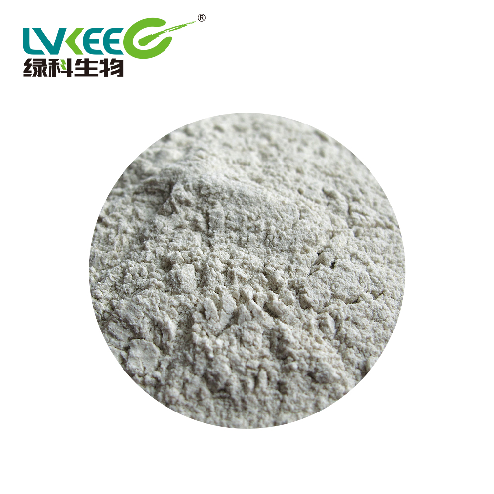Высококачественный продукт для аквакультуры Bacillus amyloliquefaciens
