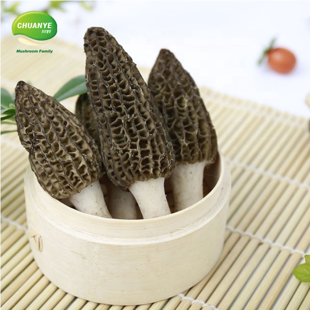 Сушеный свежий Морель культивировать гриб цена/morchella esculenta на продажу