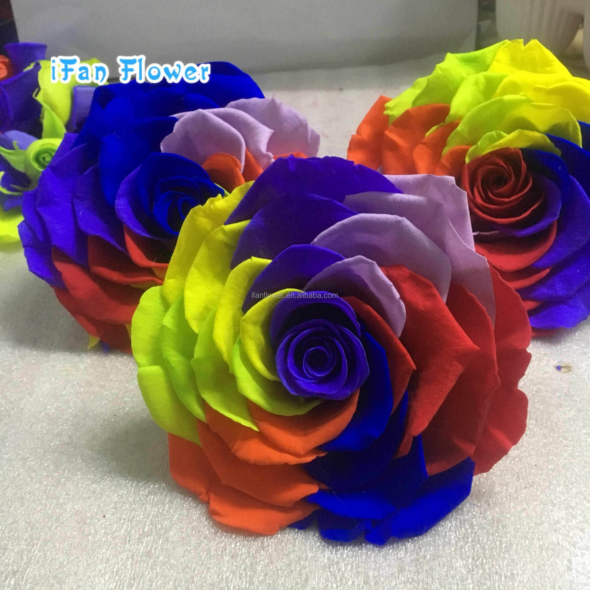 Top grade quality fresh preserved flower carnation for mother's day