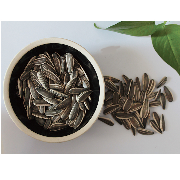 new crop sunflower seeds for human