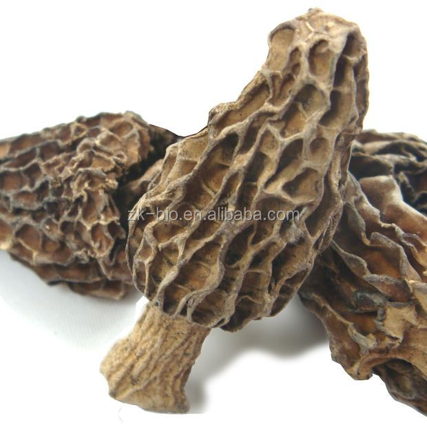Лидер продаж, органические грибы Morchella, цена