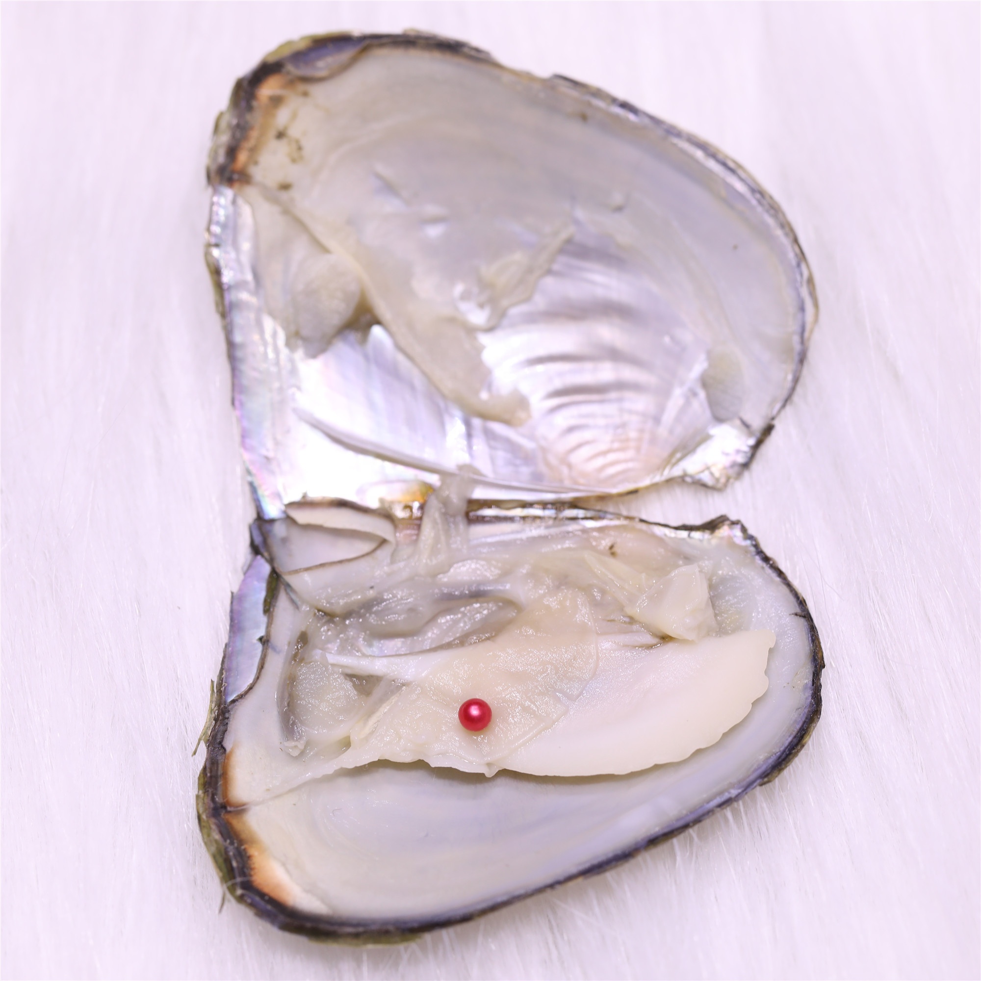 Оптовая продажа Oyster Shells с жемчугом, 3-4 мм Круглый Мини-жемчуг, Пресноводный Жемчуг в пресноводных устриц вакуумной упаковкой
