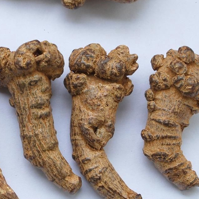 Китайская традиционная медицина Натуральные Сушеные травы San Qi Panax Notoginseng Root