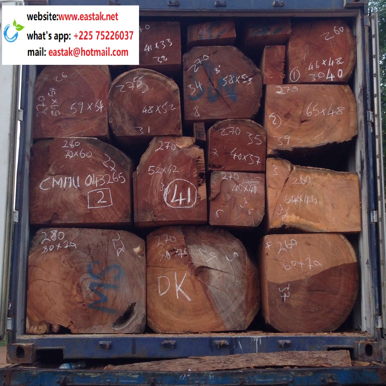 Низкая цена doussie wood из Африки (Гамбия, Кот-д 'Кот, Гана, Нигерия)-WhatsApp: + 22575226037