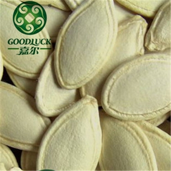Hybrid Organic Snow White and Shine Skin Pumpkin Seed in Shell