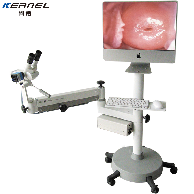 integrated video optical microscope for women vulva examination and image management system