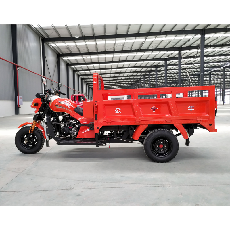 2019 Горячая продажа 250CC грузовой трехколесный велосипед