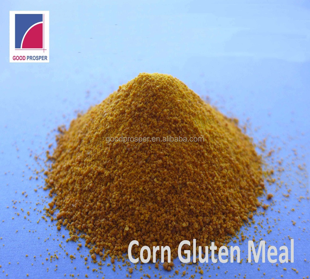 Best Price Corn Gluten Meal 60% Protein for Animal Feed