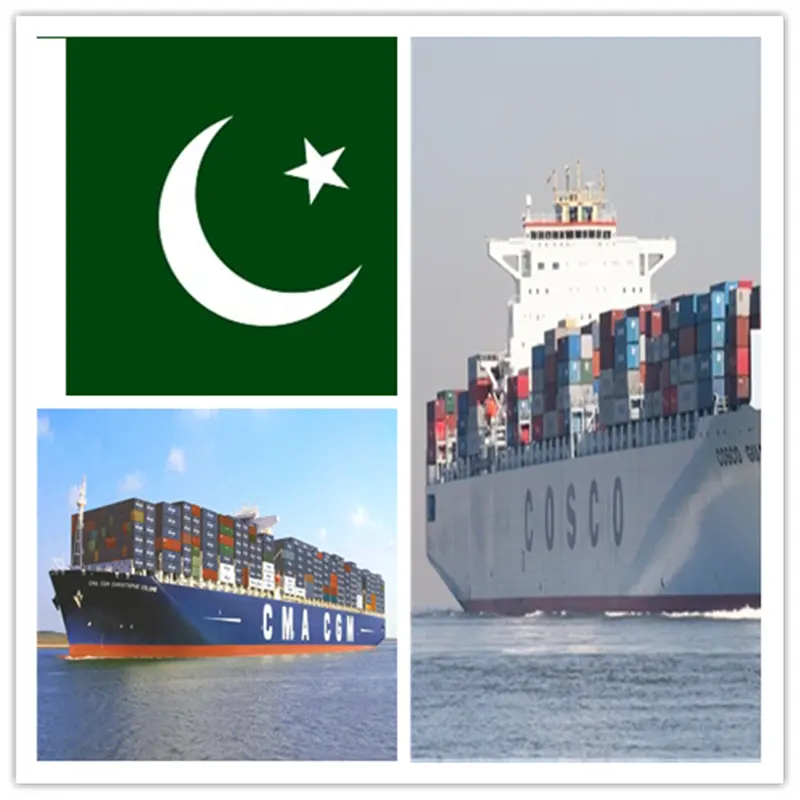 Quality service ocean freight forwarder Sea Cargo From China To Pakistan